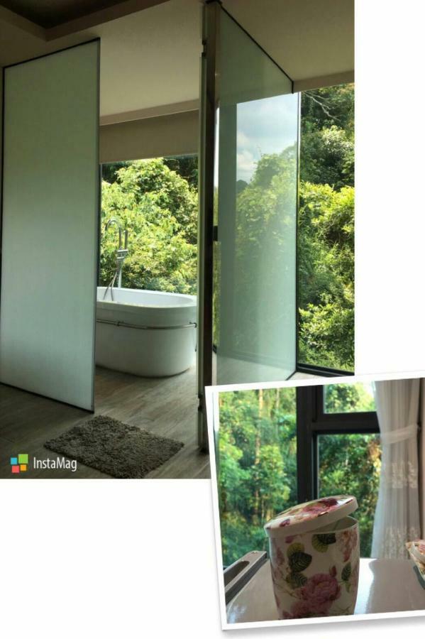Spring Land Villa & 白舍青丘 Puli Exteriér fotografie